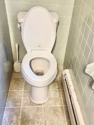 clean toilet after