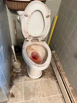 clean toilet before