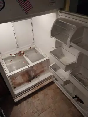 dirty fridge before